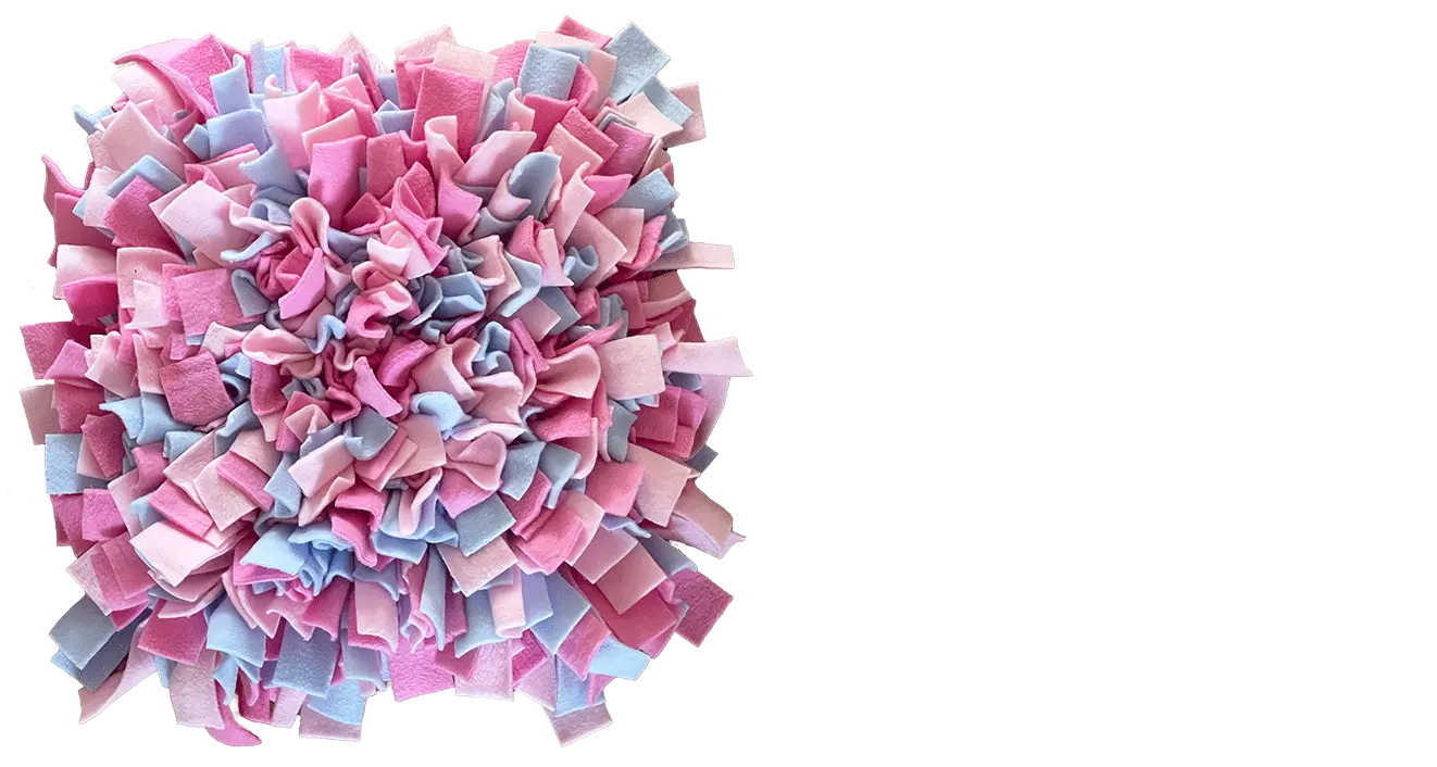 Mata węchowa pro baner