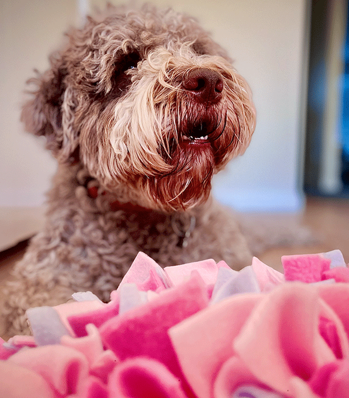 Mata-wechowa-pro-rozowo-blekitna