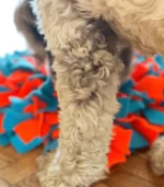 Mata węchowa pro turkusowo pomarańczowa