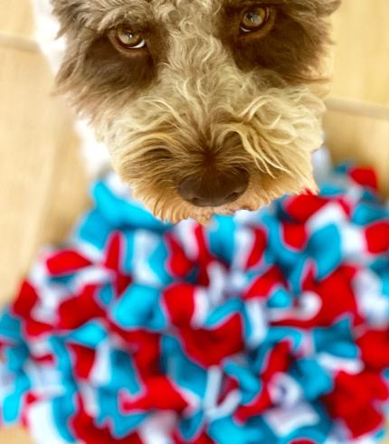 Mata-węchowa-szyta-turkusowo-czerwono-błękitna