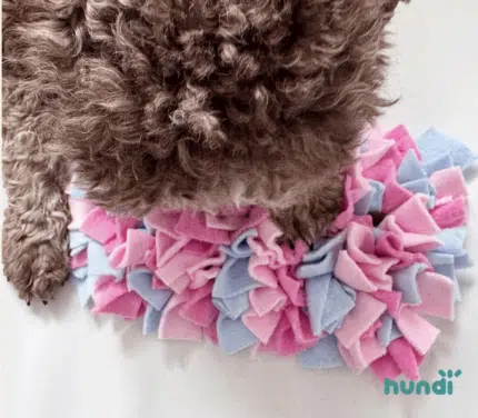 Mini Mata węchowa Rosa plus Brunek