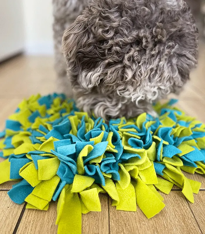 Mata węchowa Basic limonkowo turkusowa