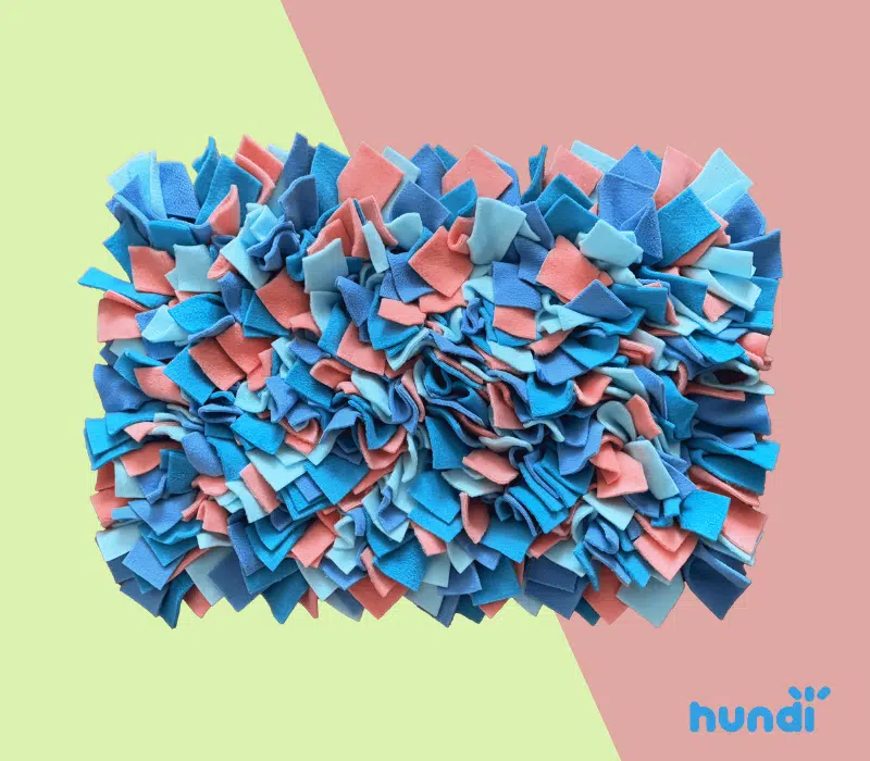 mata węchowa dla psa