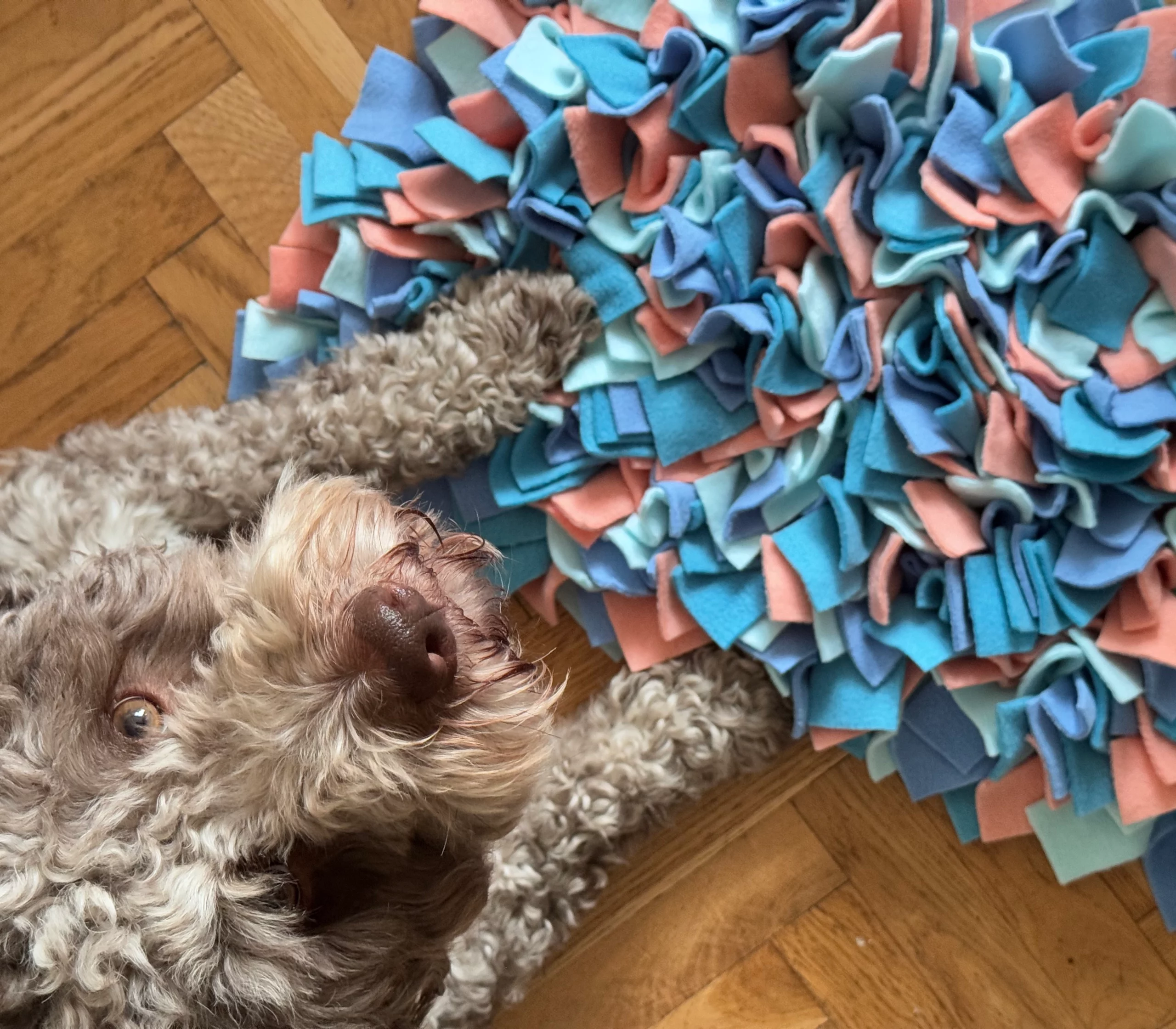 Mata węchowa dla psa - maxi akvamarin 3