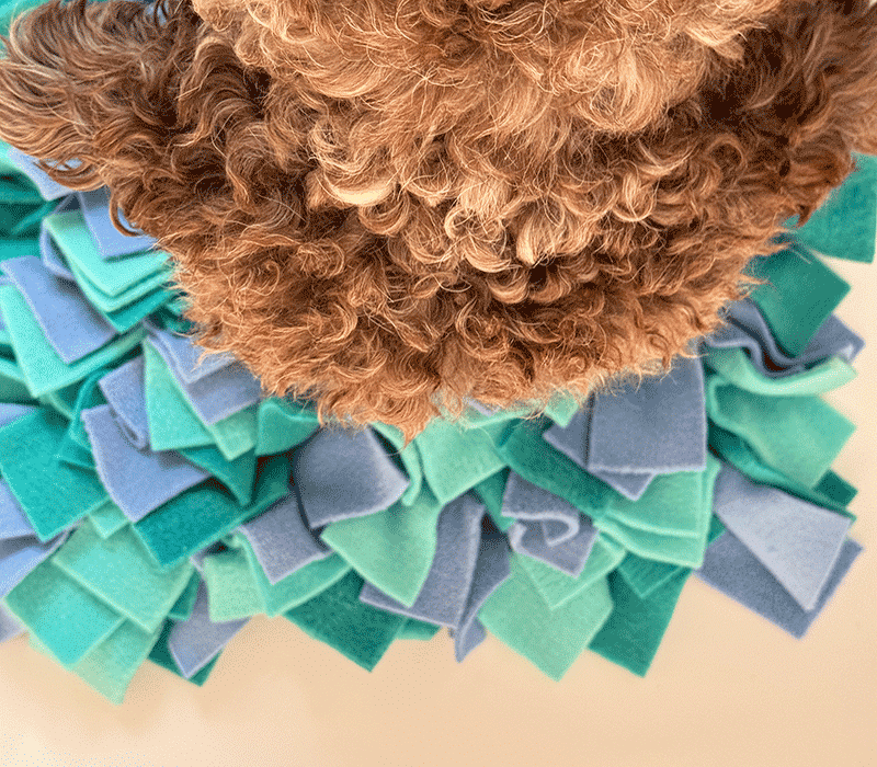 Mata do węszenia dla psa