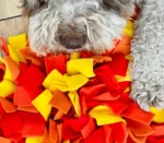 Mata węchowa szyta - jesienna - obrazek 5