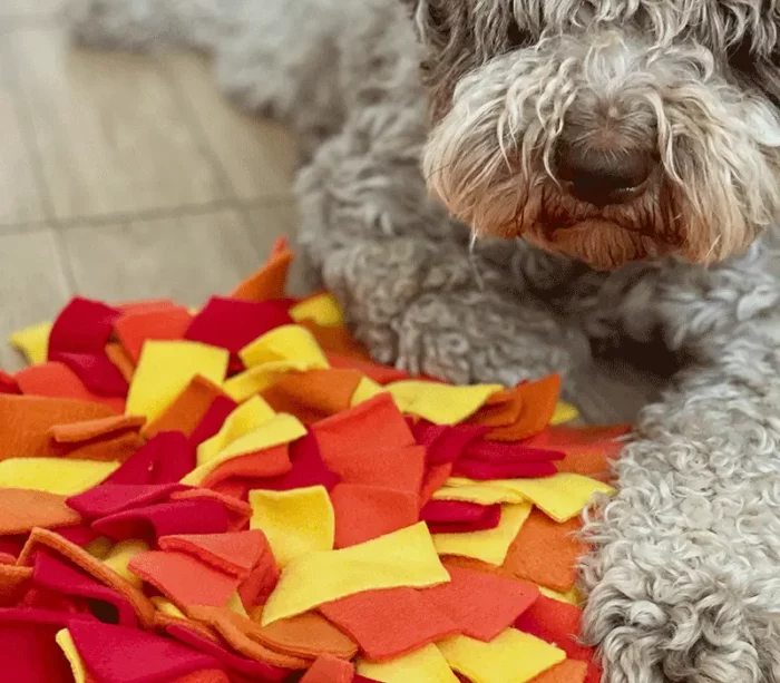 Mata węchowa szyta - jesienna - obrazek 3