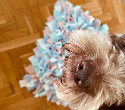 Maxi Mata węchowa - Marshmallow