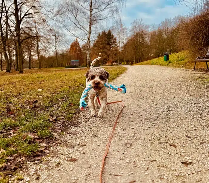 Szarpak polarowy dla psa 2