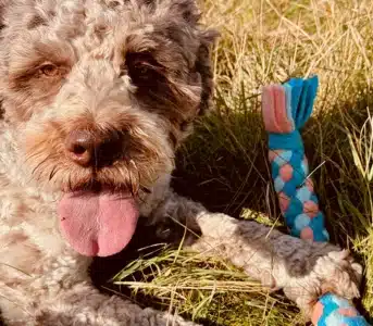 Szarpak polarowy dla psa 1