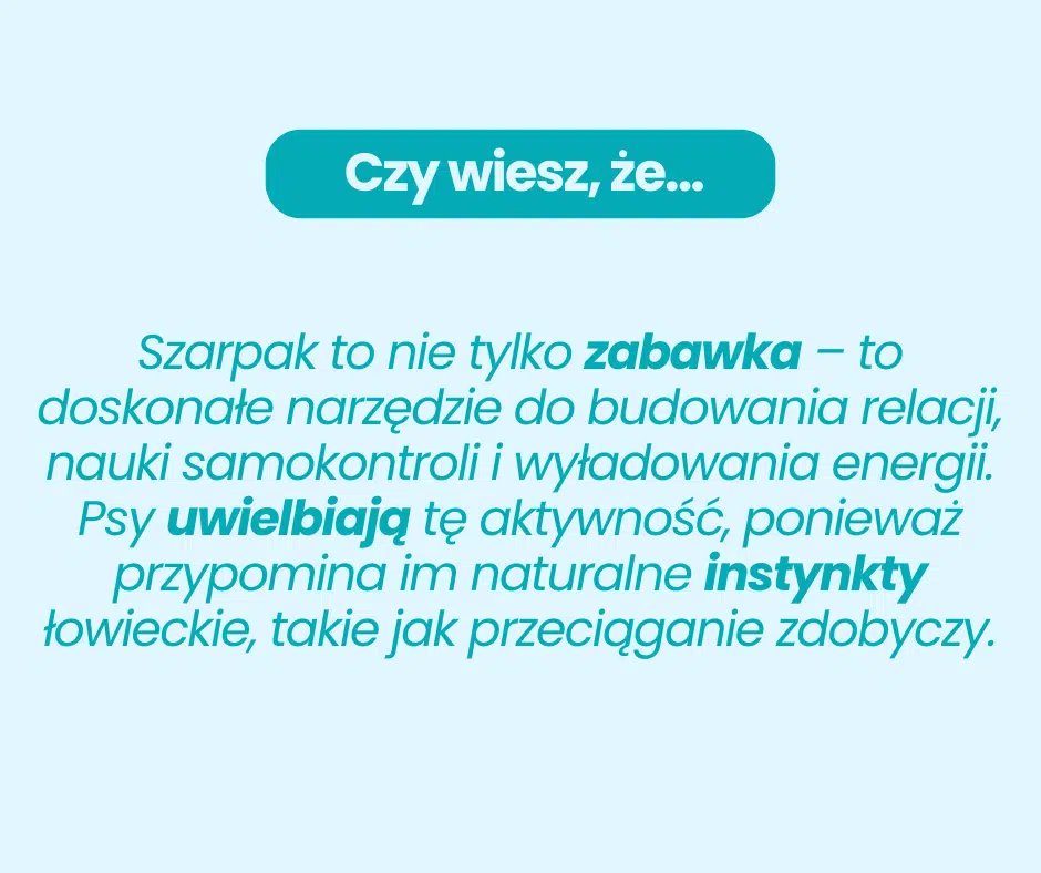 Grafika czy wiesz, że szarpak...