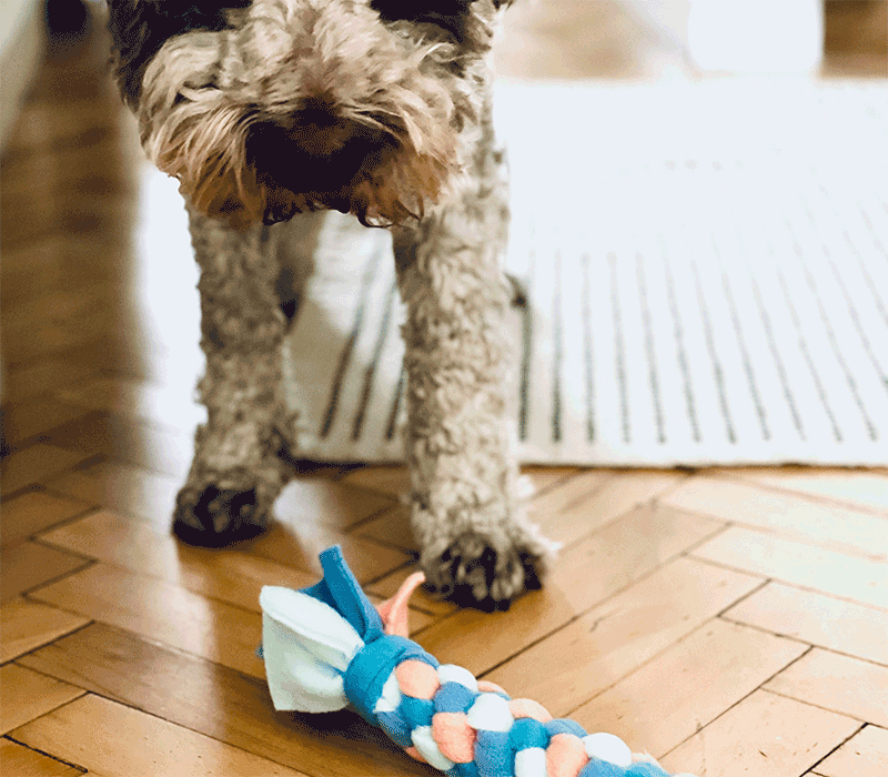 Szarpak polarowy M 60 cm - akvamarin