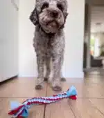 Bruno z małym Szarpakiem