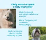 Kiedy warto korzystać z maty edukacyjnej