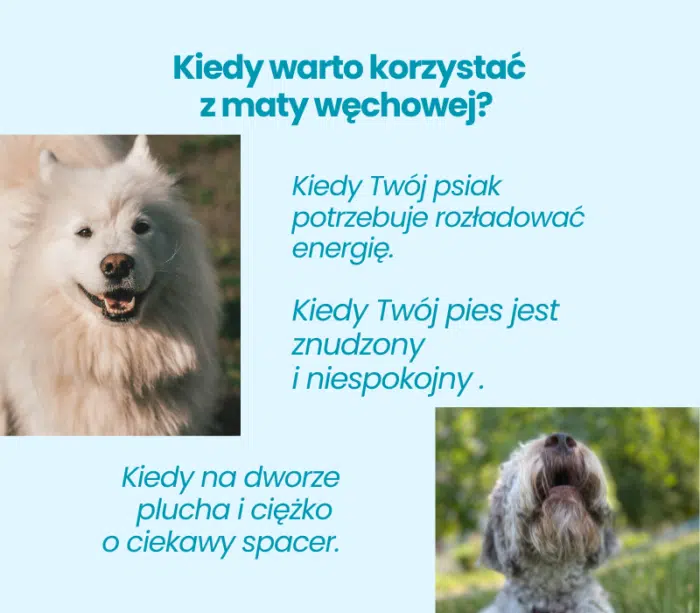 Kiedy warto korzystać z maty edukacyjnej