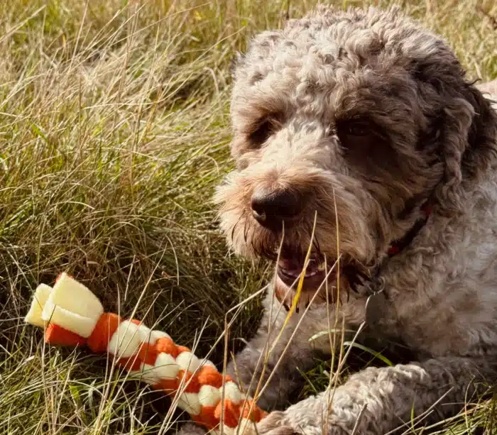 Szarpak polarowy Honung