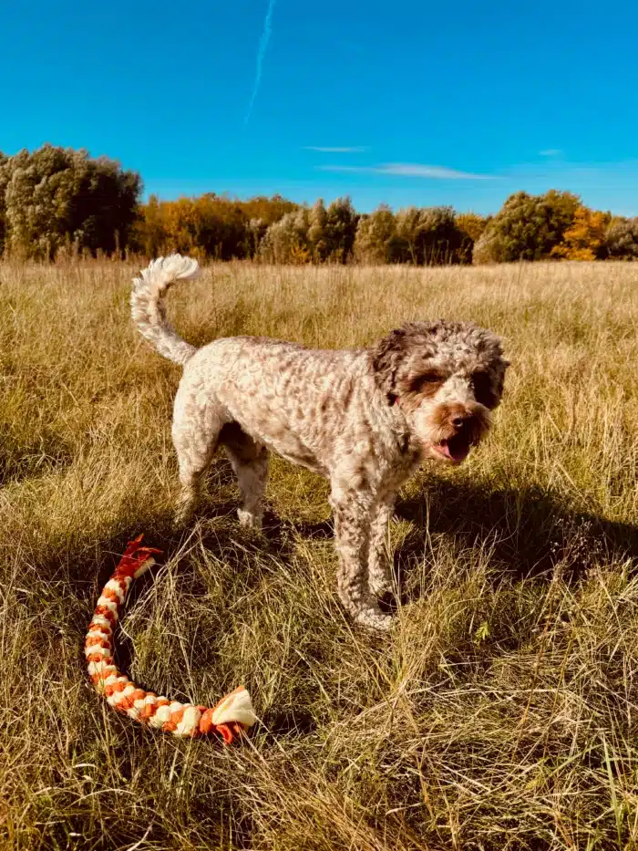 Szarpak Polarowy dla psa - Honung