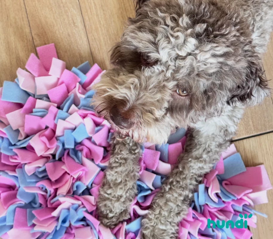 Maxi mata węchowa rosa 3