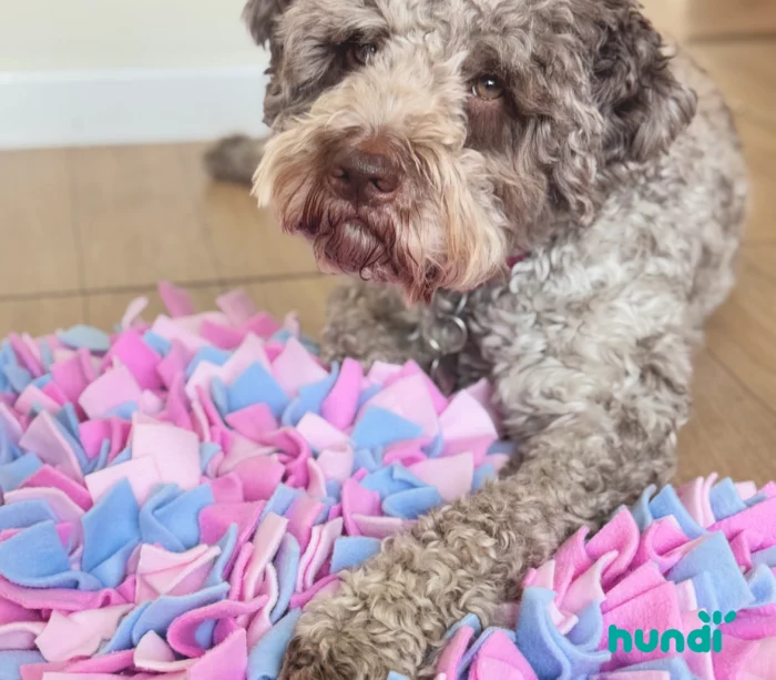 Maxi mata węchowa rosa 2