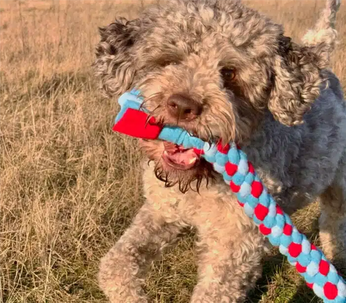 Szarpak polarowy - Volcano M ok. 60 cm - obrazek 6