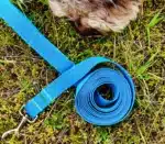 Prosta smycz treningowa