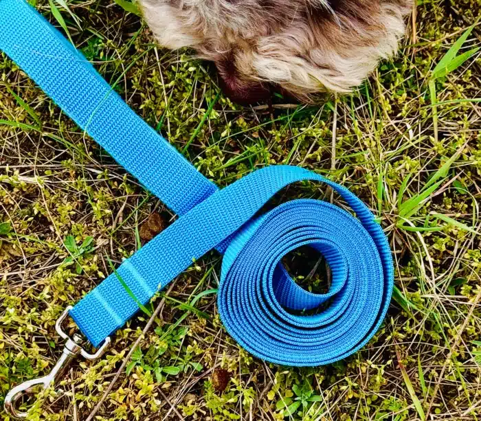 Prosta smycz treningowa