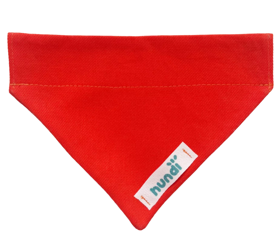 Bandana dla psa