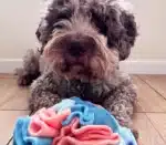 Kula węchowa - akvamarin 15 cm