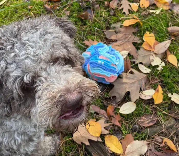 Kula węchowa - akvamarin z Brunkiem