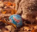 Kula węchowa - akvamarin z Brunkiem