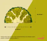 Turbo Mata węchowa limonka