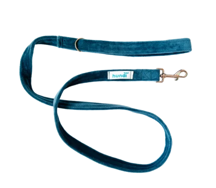 Miękka smycz miejska