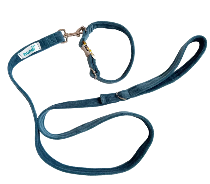 Miękka smycz miejska