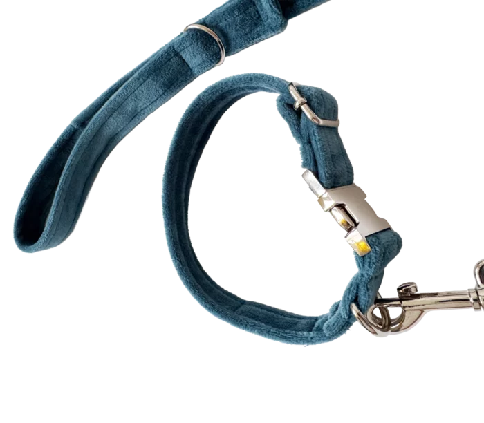 Miękka smycz miejska