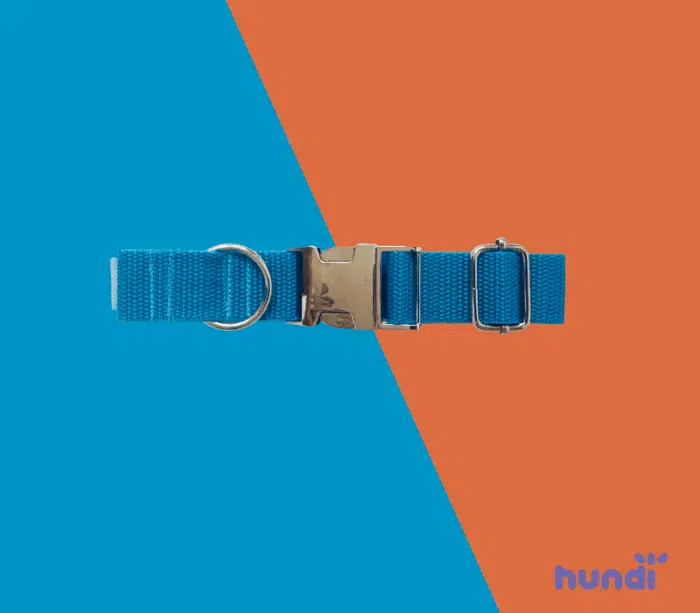 Obroża dla psa Alva