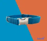 Obroża dla psa Alva