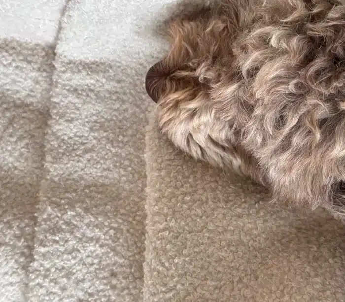 Miękki kocyk dla psa