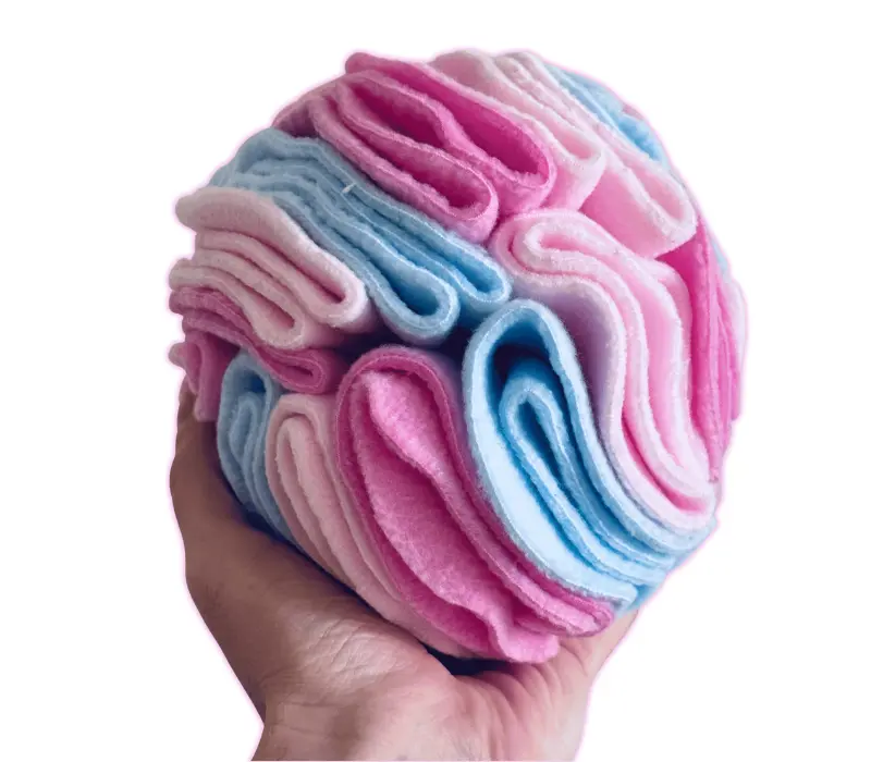 Kula węchowa dla psiaka