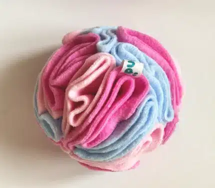 Kula węchowa dla psiaka