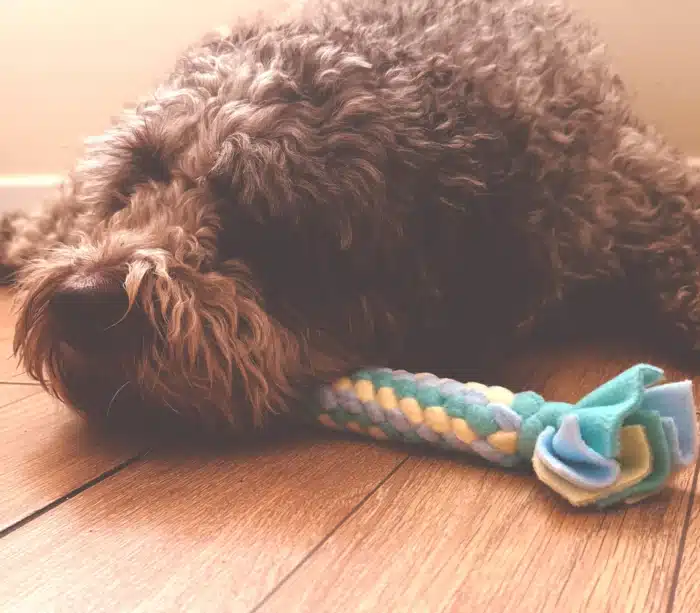 Zestaw: Mini mata węchowa Mynta + Szarpak polarowy - obrazek 6