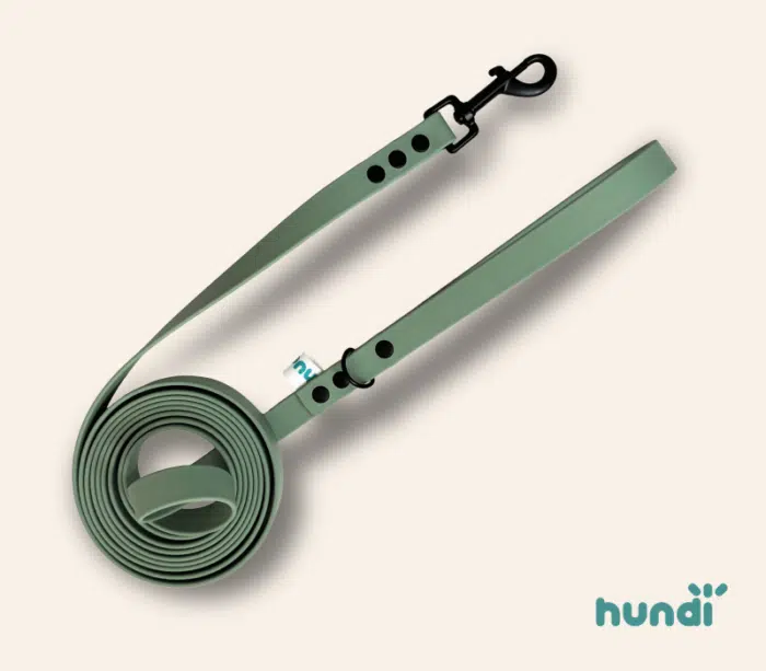 Smycz miejska Biothane -sage green