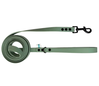 Smycz Miejska Biothane Sage Green